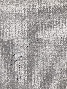 スペース 傷つきやすい 派生する 壁 ボールペン 消す Nenkin Shibata Jp